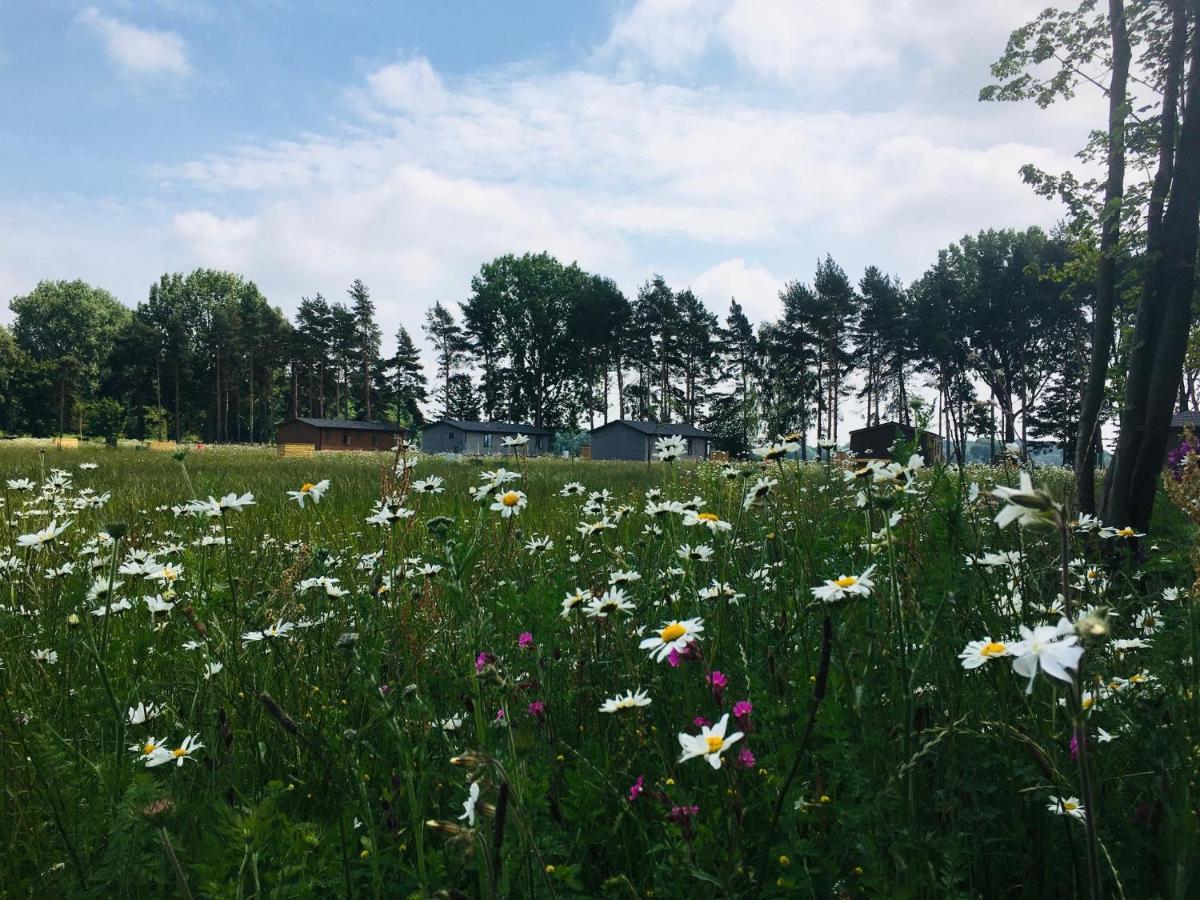 Hollicarrs - Wildflower Lodge York Esterno foto