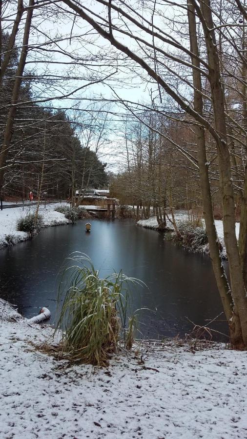 Hollicarrs - Wildflower Lodge York Esterno foto