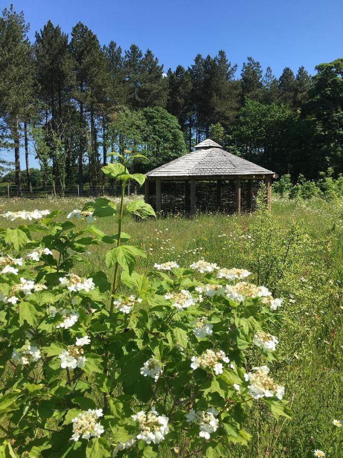 Hollicarrs - Wildflower Lodge York Esterno foto