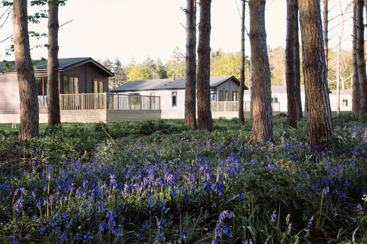 Hollicarrs - Wildflower Lodge York Esterno foto