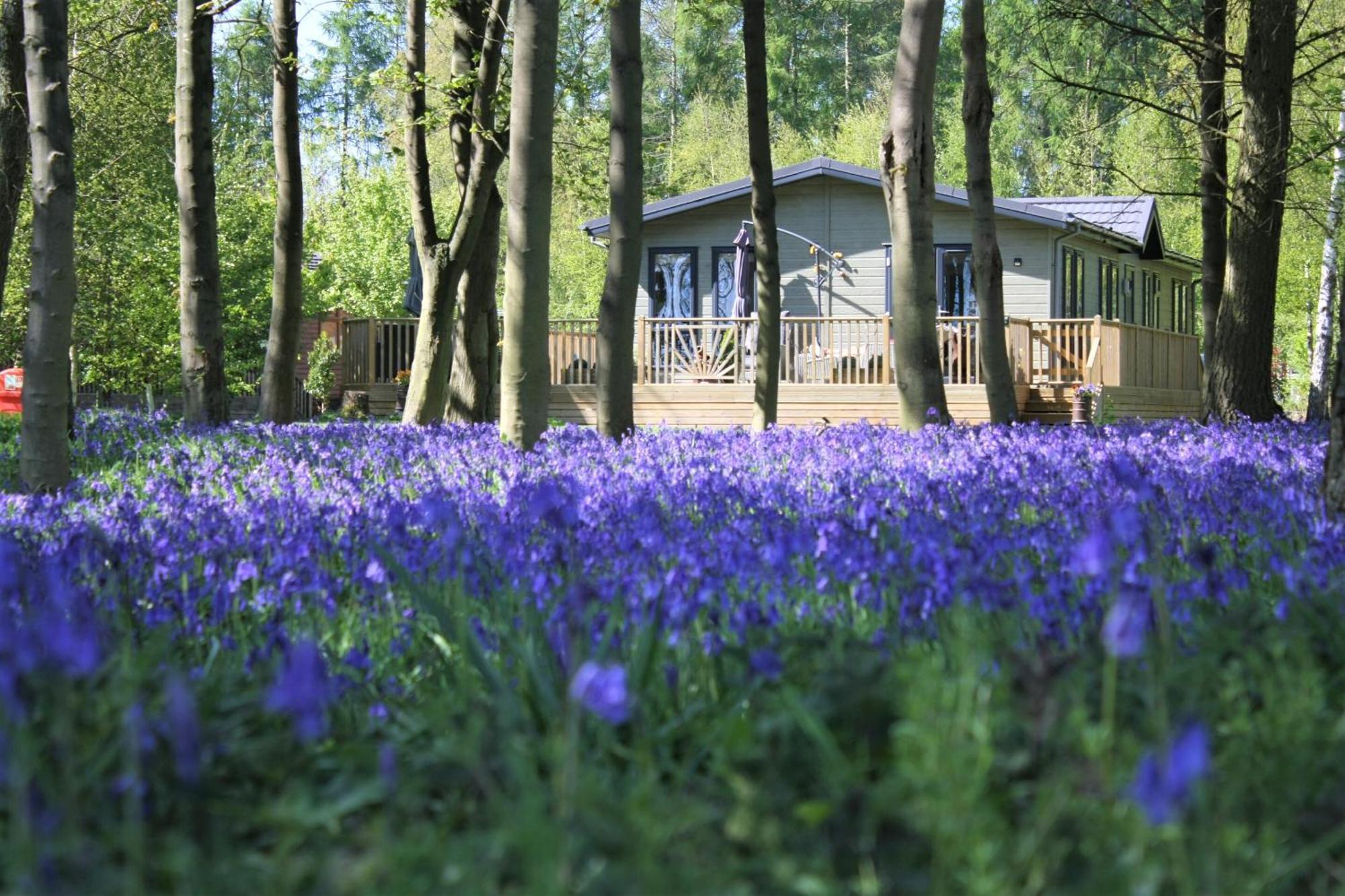 Hollicarrs - Wildflower Lodge York Esterno foto