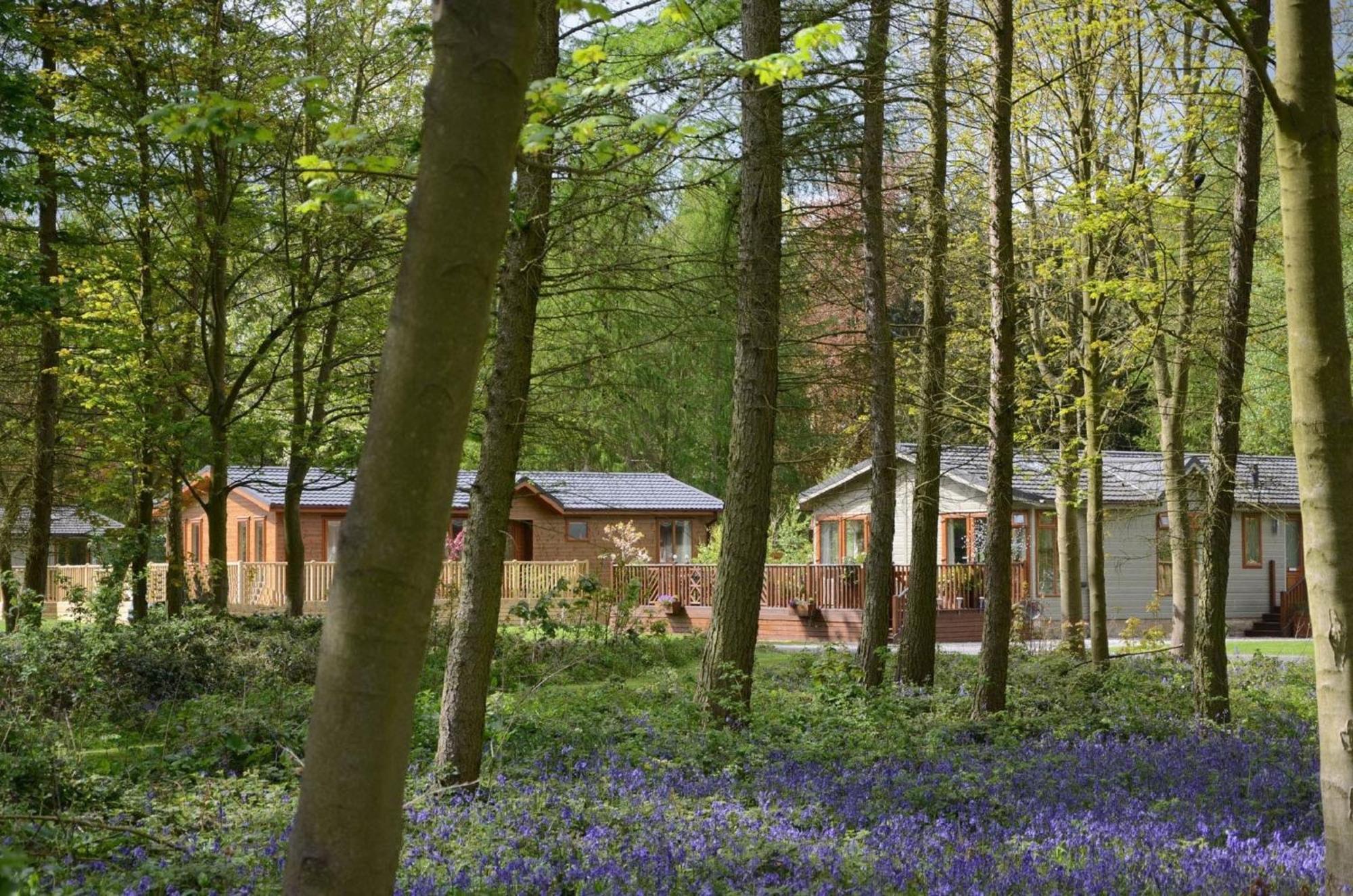 Hollicarrs - Wildflower Lodge York Esterno foto
