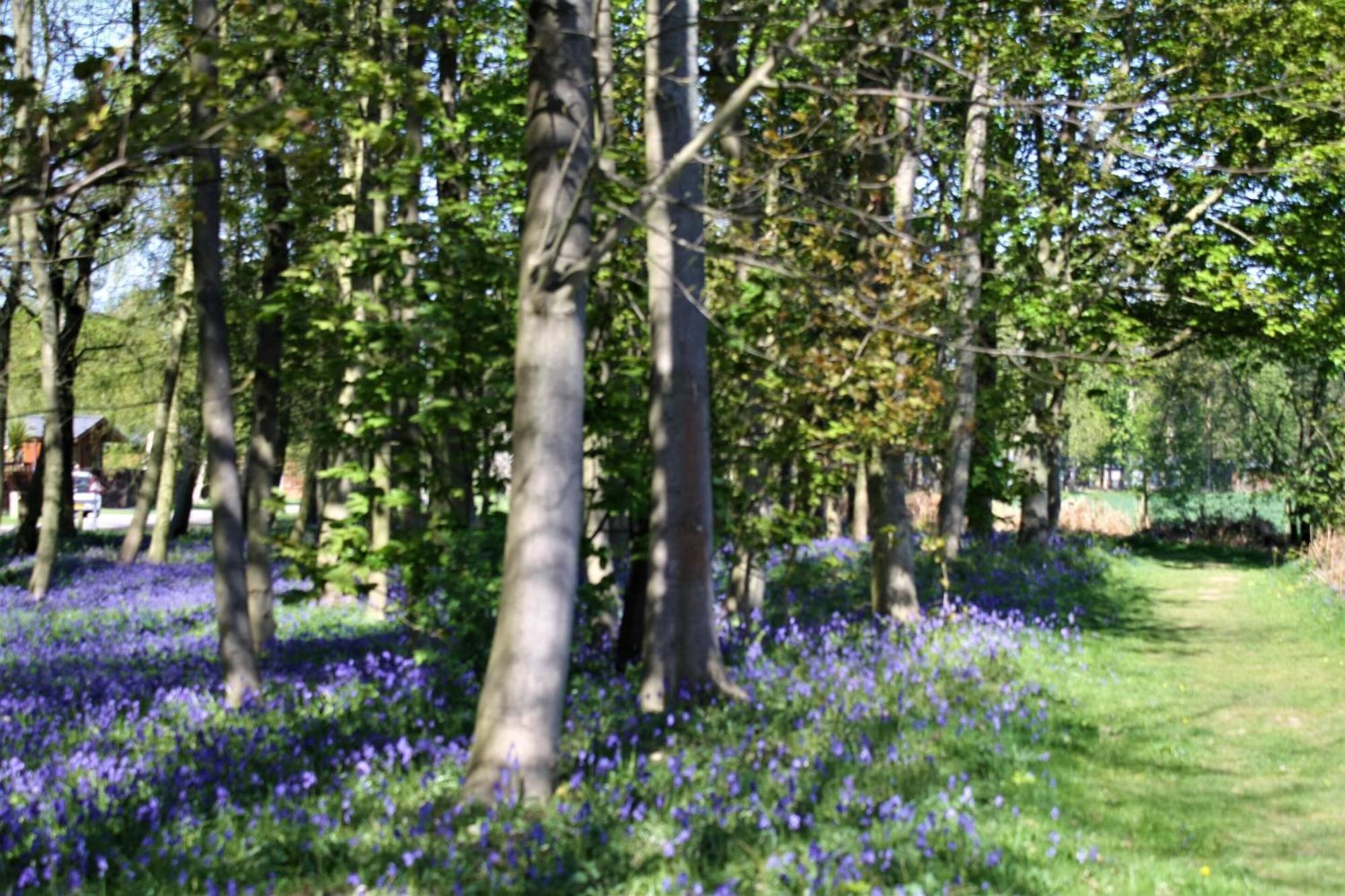 Hollicarrs - Wildflower Lodge York Esterno foto